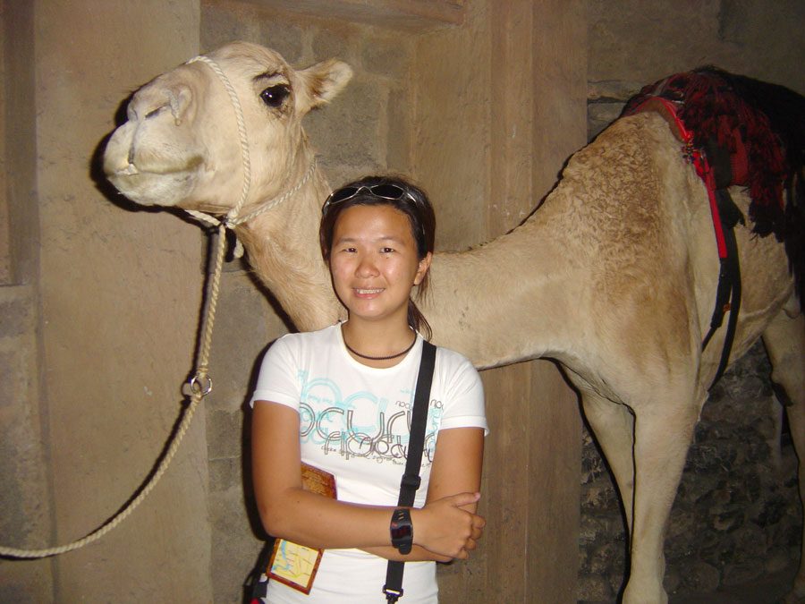 Dubai Museum Camel