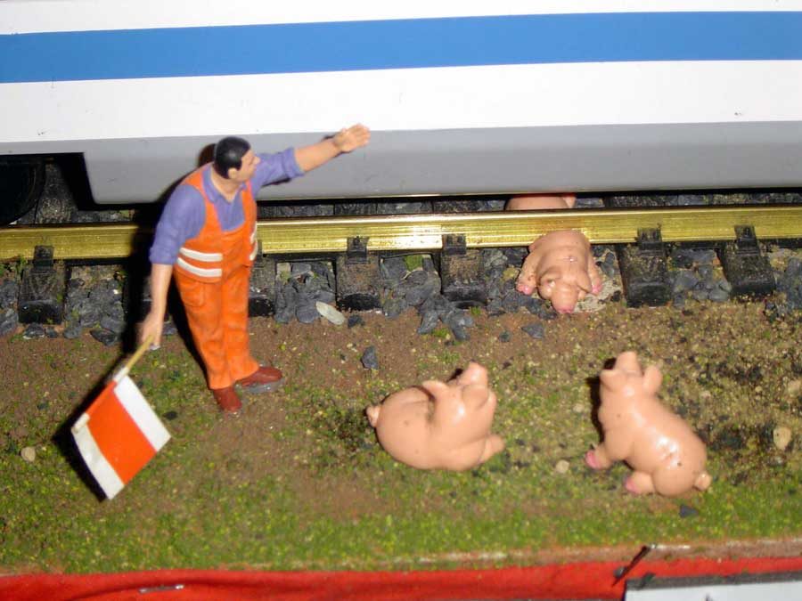 Seoul Train Set Crushed Pig