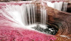 Cano Cristales
