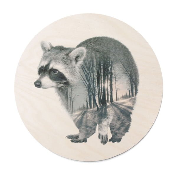 Faunascape Racoon