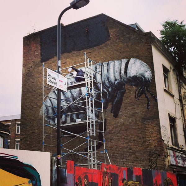 London Street Art - Roa WIP 2