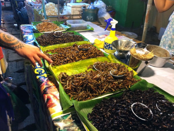 Phuket Wat Suwankiriket Market Insects Stall