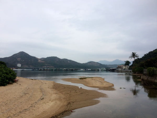 Hong Kong Lamma Island - Coastline Tree