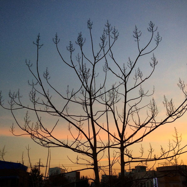 Seoul Hongdae Sunset Winter