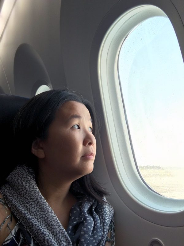 United Airlines - Dreamliner 787-9 Window