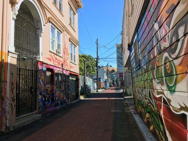 San Francisco Street Art Cypress 4