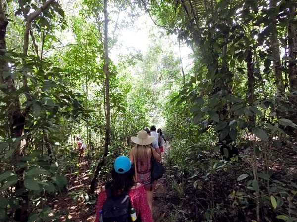 Flores Cunca Wulang Trek Trail