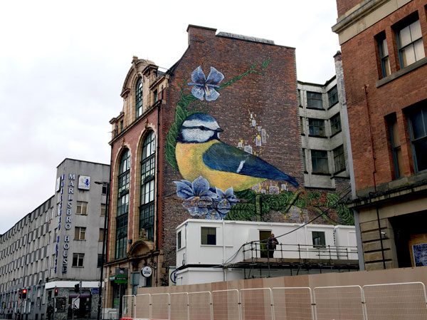 Manchester Street Art Faunagraphic
