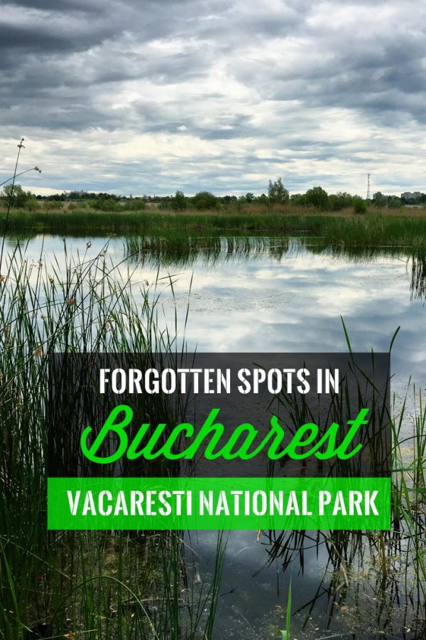 Pin It: Forgotten Places in Bucharest - Vacaresti