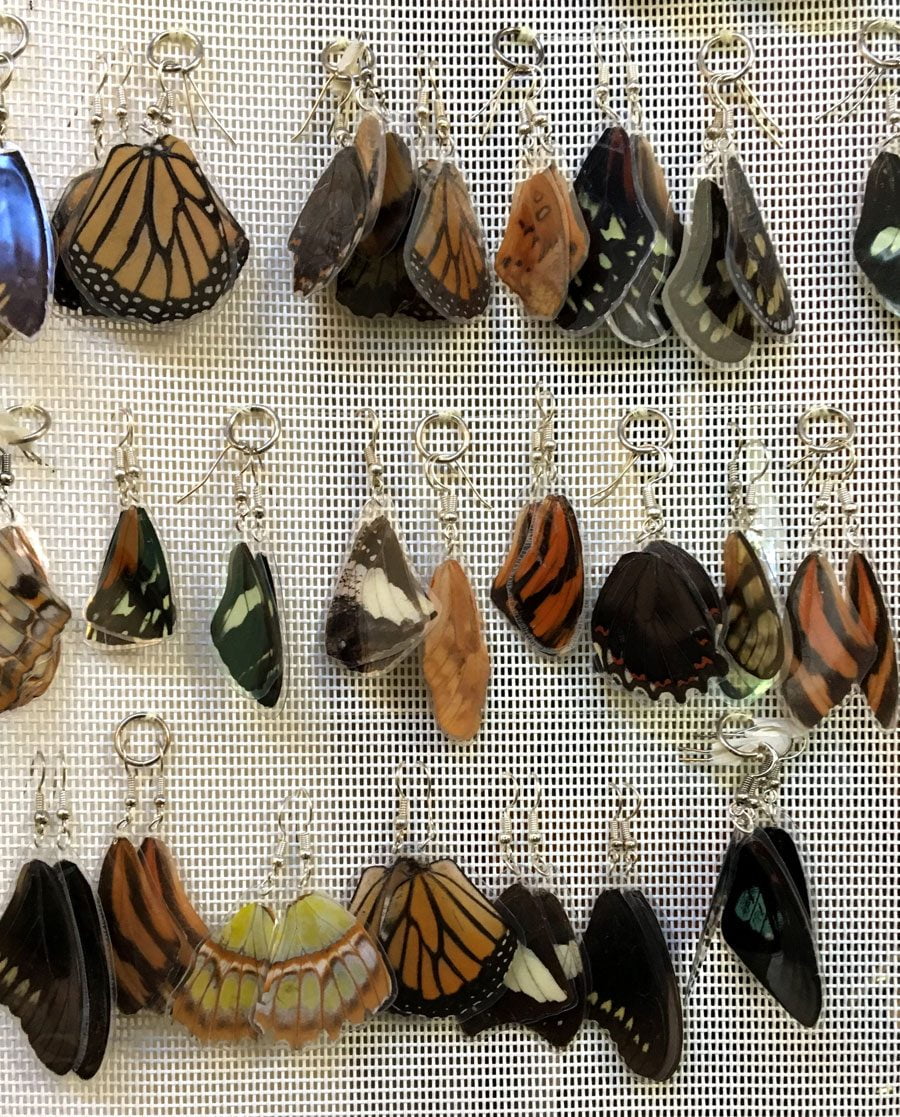 Panama Boquete Butterfly Earrings