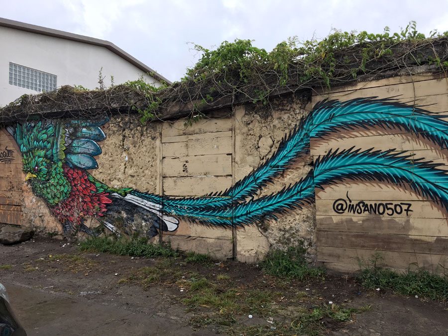 Panama Boquete Quetzal Graffiti