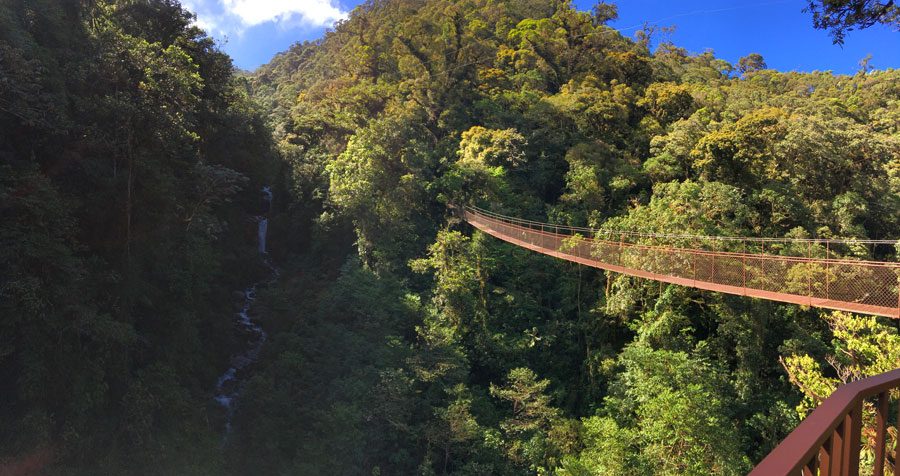 Panama Boquete Tree Top Trek Bridge Waterfall