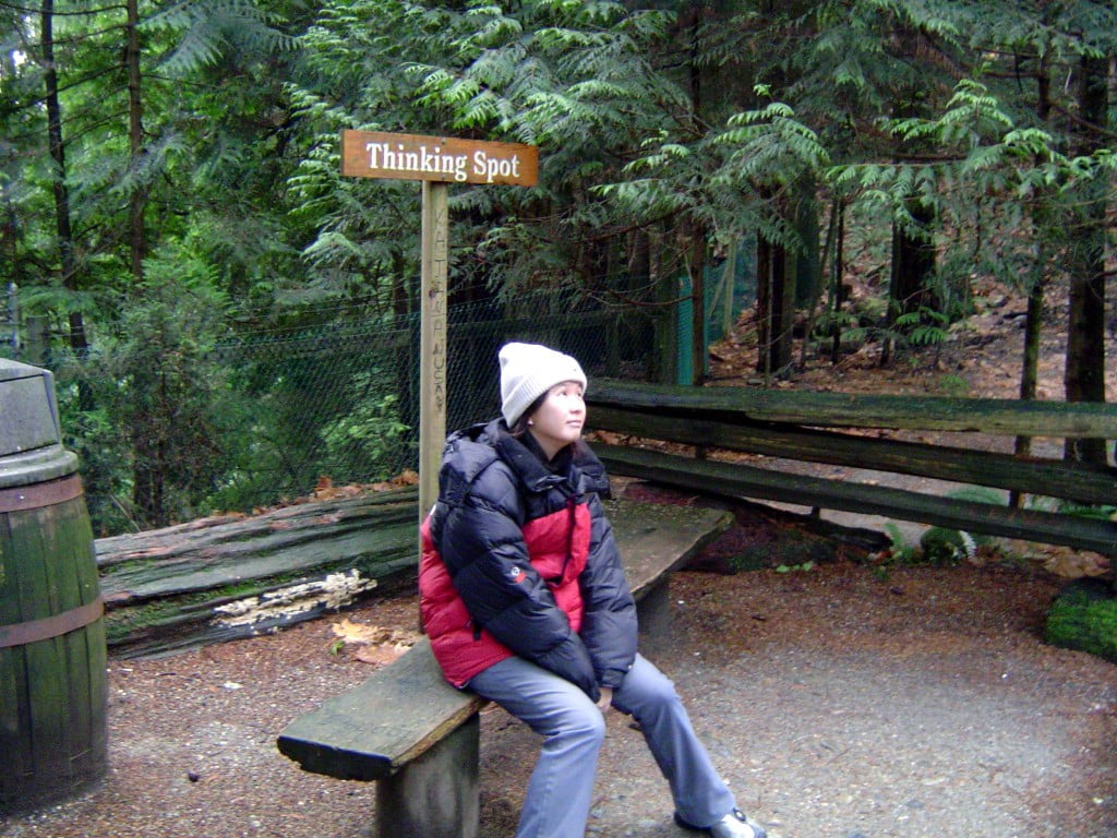 Vancouver Capilano Thinking Spot