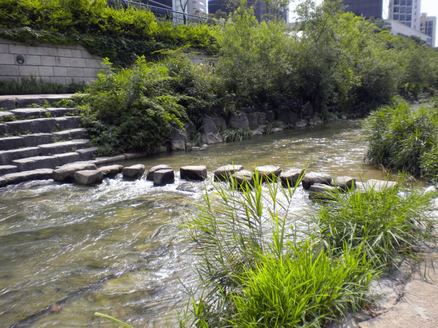 Seoul Cheonggyecheon River Rocks