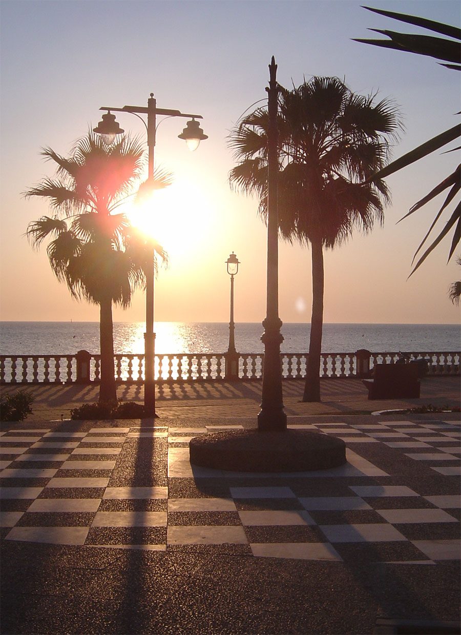 Spain Chipiona Beach Sunset Tree