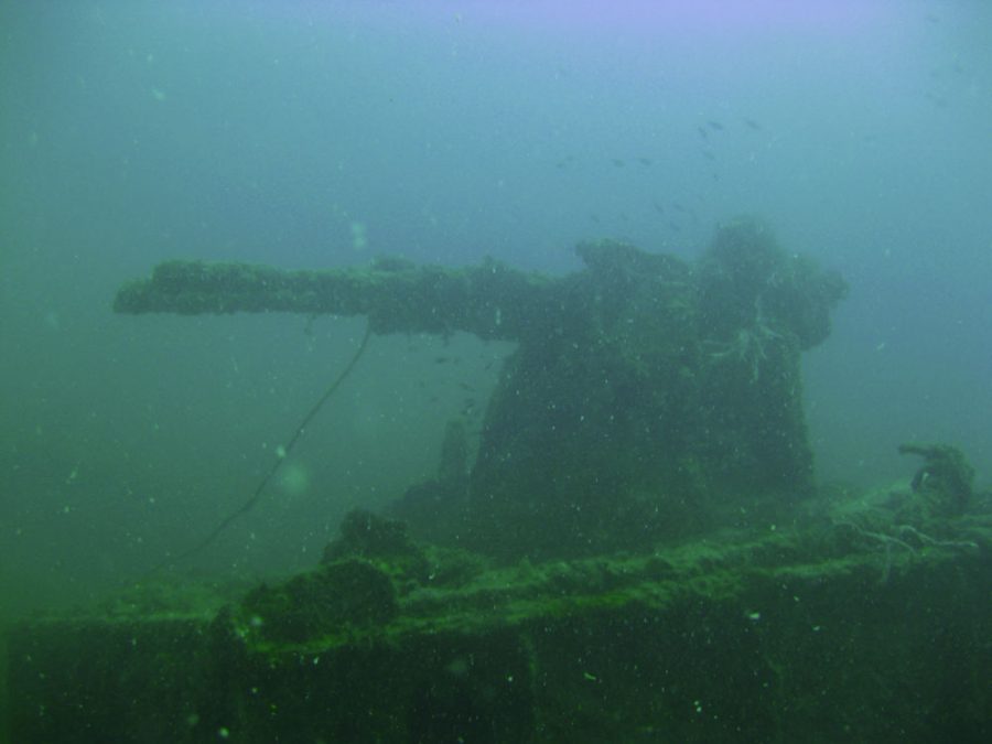 Tioman Wreck Diving Gyoshimaru Gun
