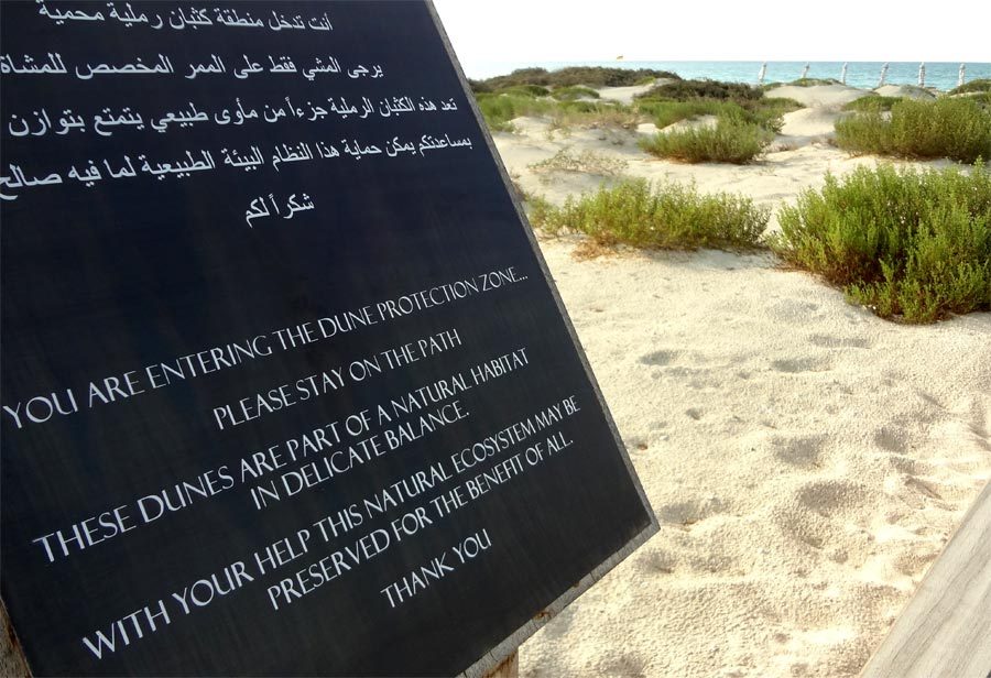 Abu Dhabi Saadiyat Beach Club Dune Protection