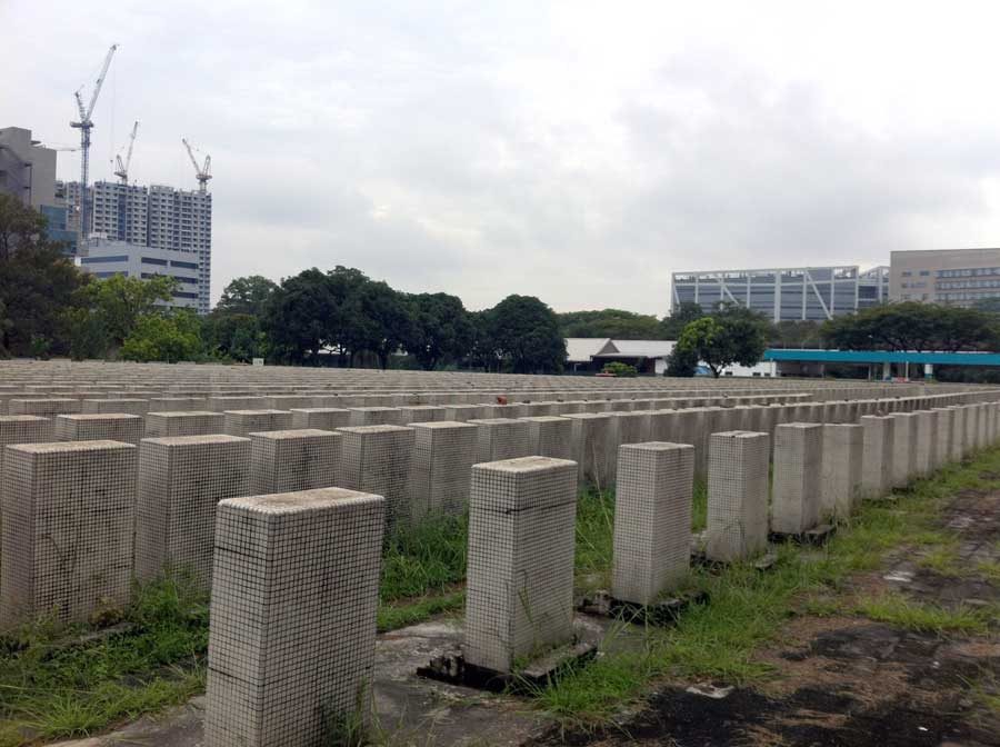 Shuang Long Shan Tombstone rows