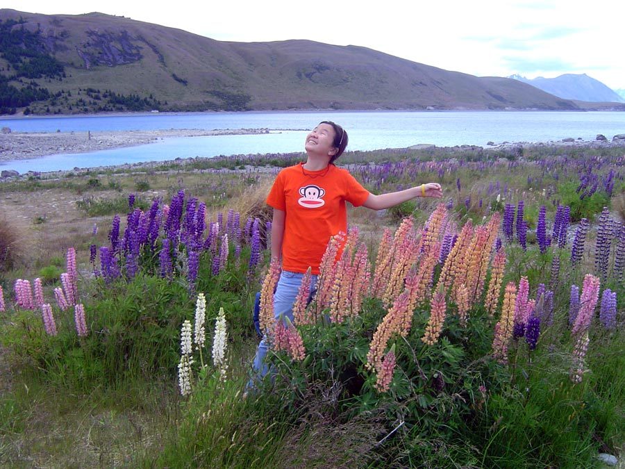 New Zealand Lake Tekapo Flowers Me