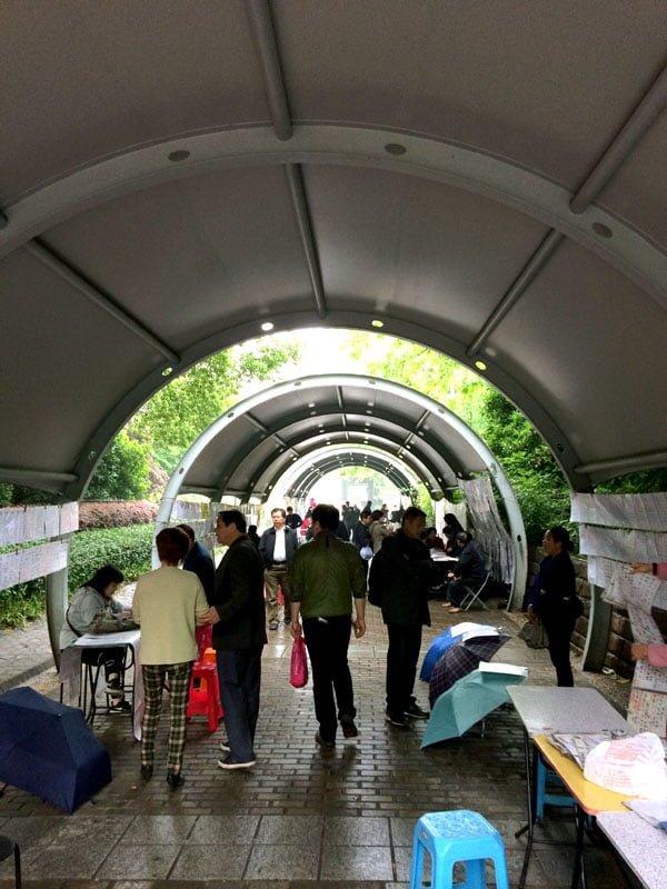 Shanghai Spring - Marriage Market sheltered