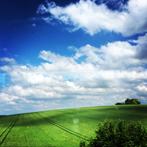 London Work Trip - Train Countryside