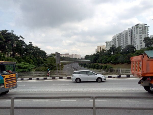 SWF2014 - Suicide Bridge