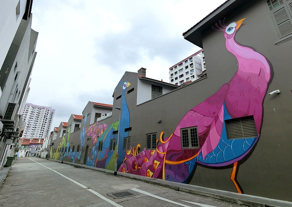 Singapore Street Art Boon Mayura Peacocks Pink