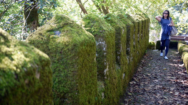 Portugal - Sintra Moorish Castle Mossy Turrets