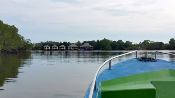 Bintan Mangrove Boat
