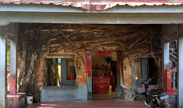 Bintan Senggarang Banyan Tree Temple