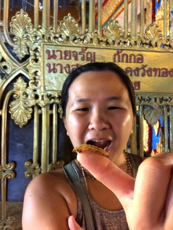 Phuket Wat Suwankiriket Market Insects Bamboo Worm