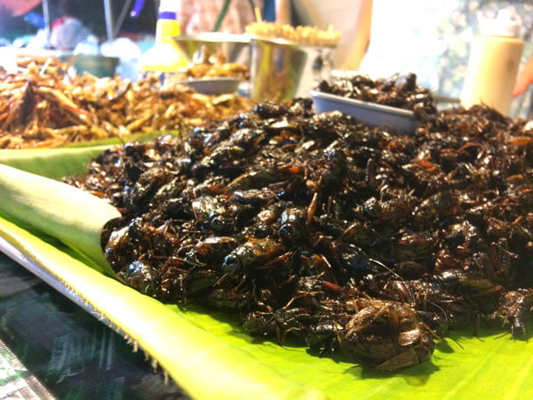 Phuket Wat Suwankiriket Market Insects Cricket