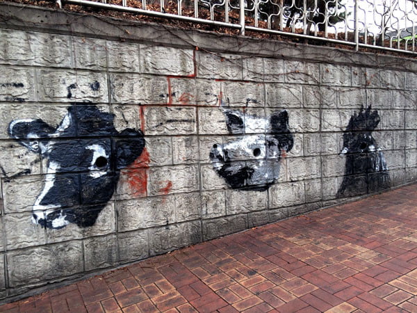 Seoul Ihwa Mural Village BnW Animals
