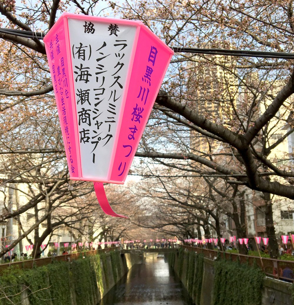 Tokyo Nakameguro Sakura River Lantern