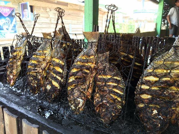 South Sumatra Ranau Lake Fried Fish Cooking