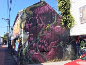 San Francisco Street Art Purple Skull