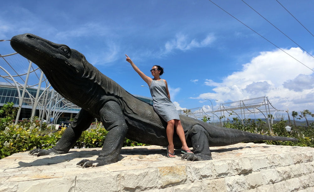 Flores Labuan Bajo Airport Komodo Me