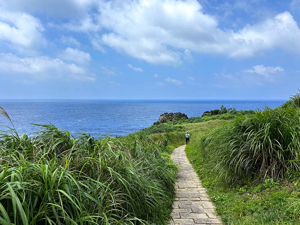 Lanyu Green Green Grassland Path