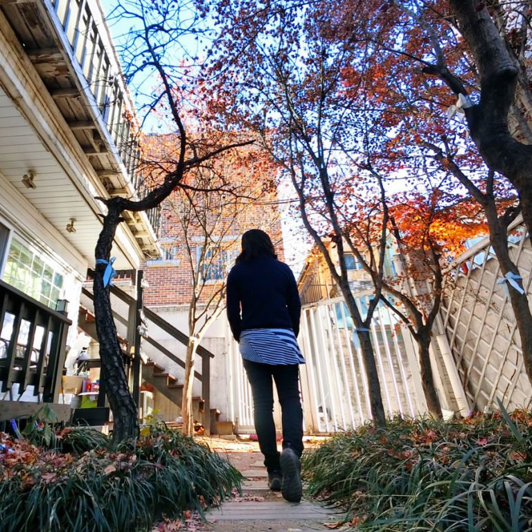 Seoul Big Johns Place Garden