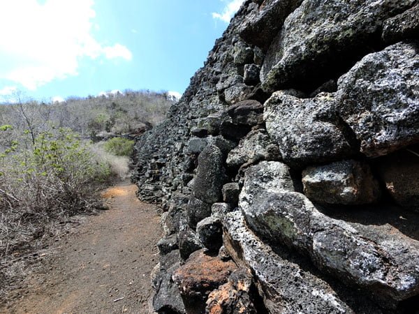 Galapagos Isabela Lacrimas Wall