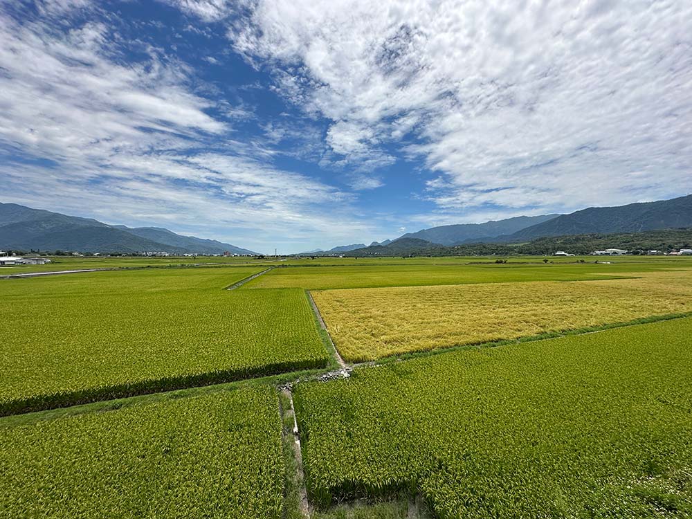 Taitung Chishang Great View Rice Field