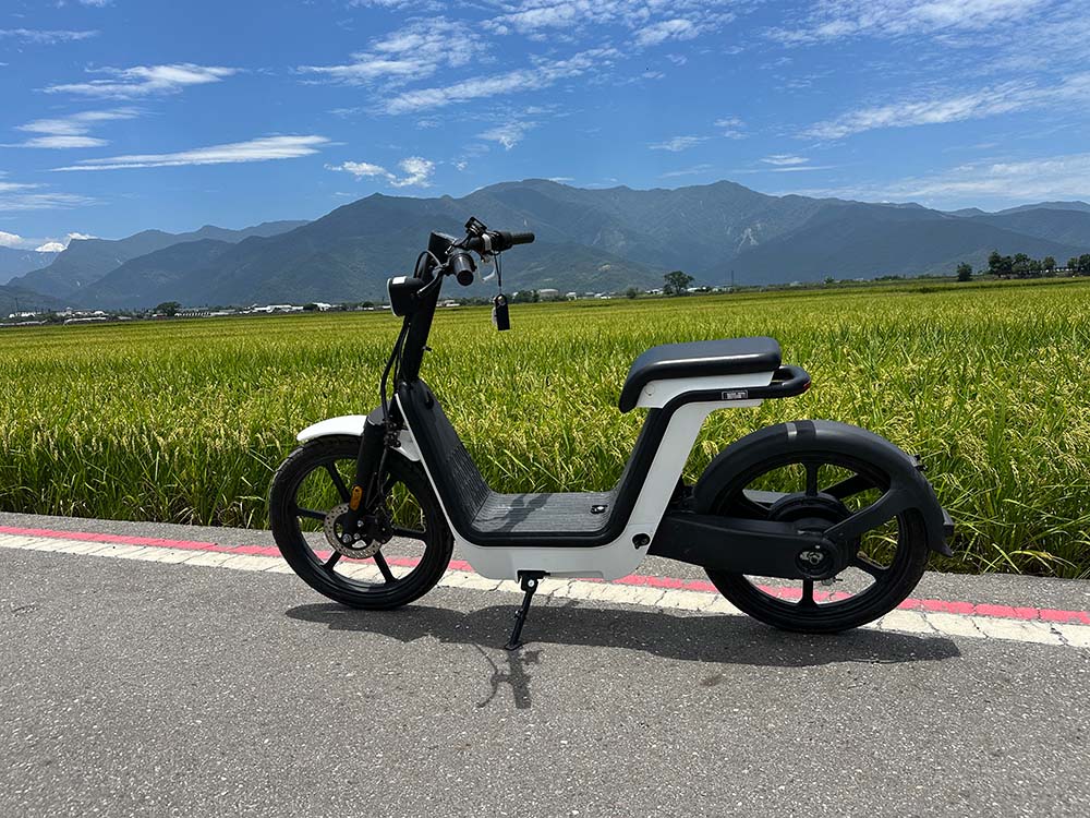 Taitung Chishang Mr Brown Avenue Ebike