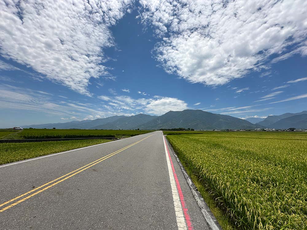 Taitung Chishang Mr Brown Avenue Road