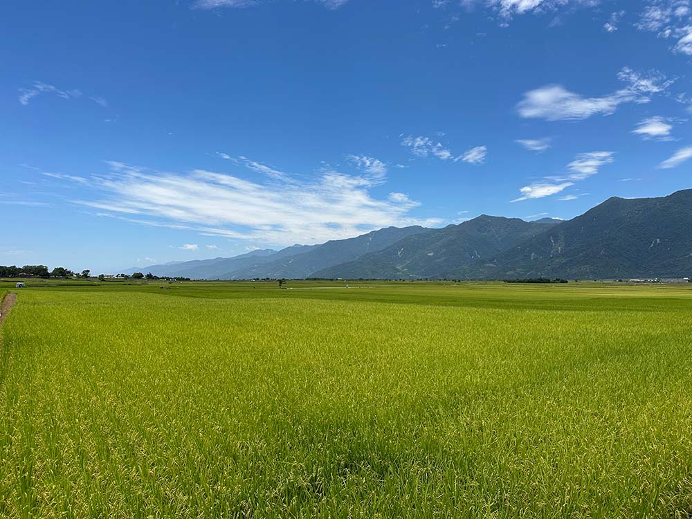 Taitung Chishang Rice Field 2