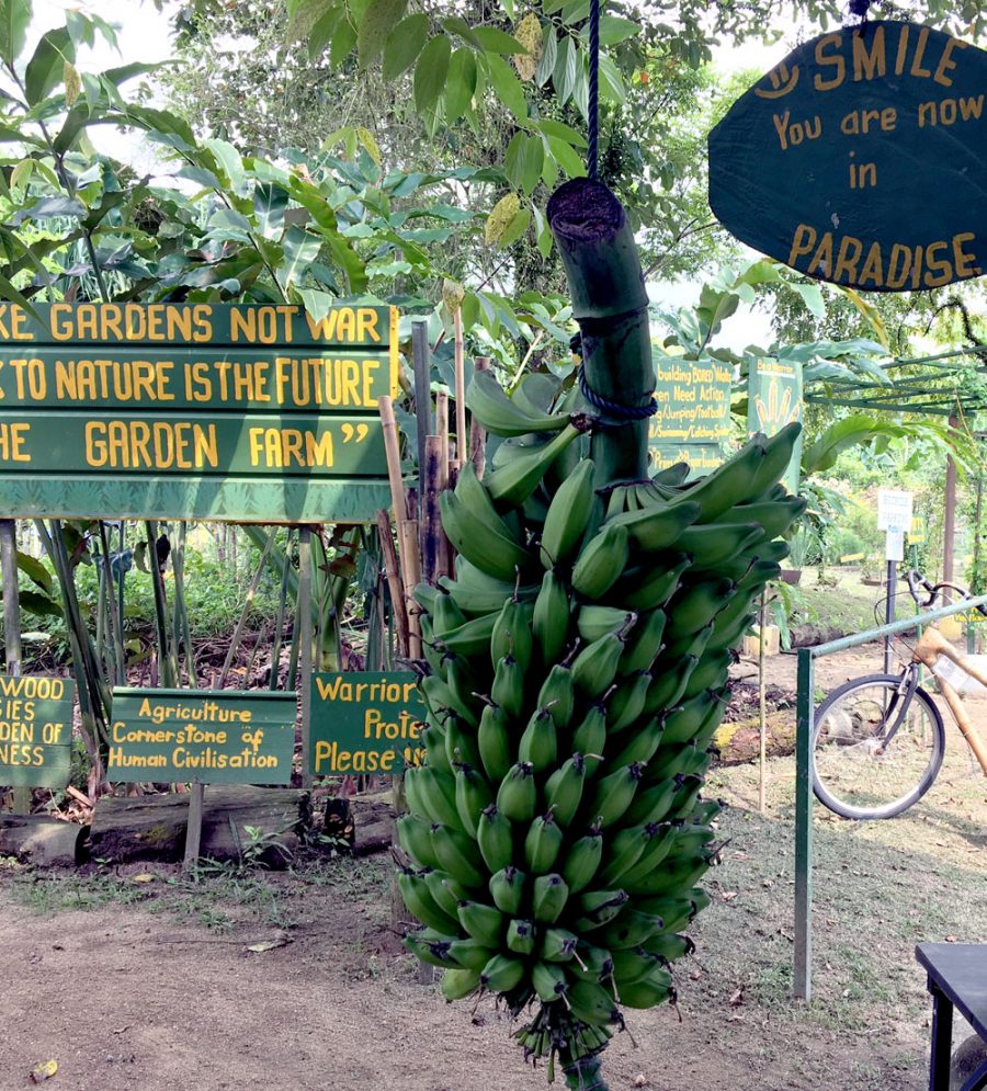 Kranji Countryside Bollywood Veggies Bananas