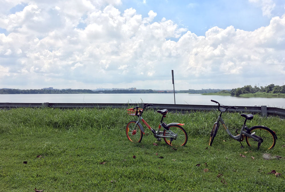 Kranji Reservoir Park Bicycles