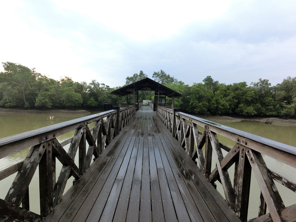 Kranji Sungei Buloh Mangrove Bridge