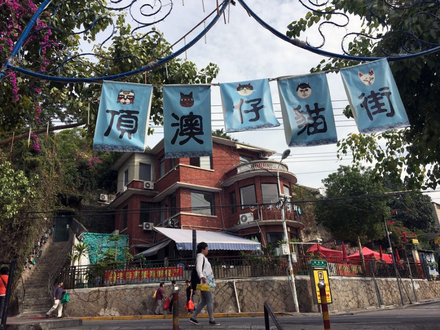 Xiamen Dingaozai Cat Street Sign
