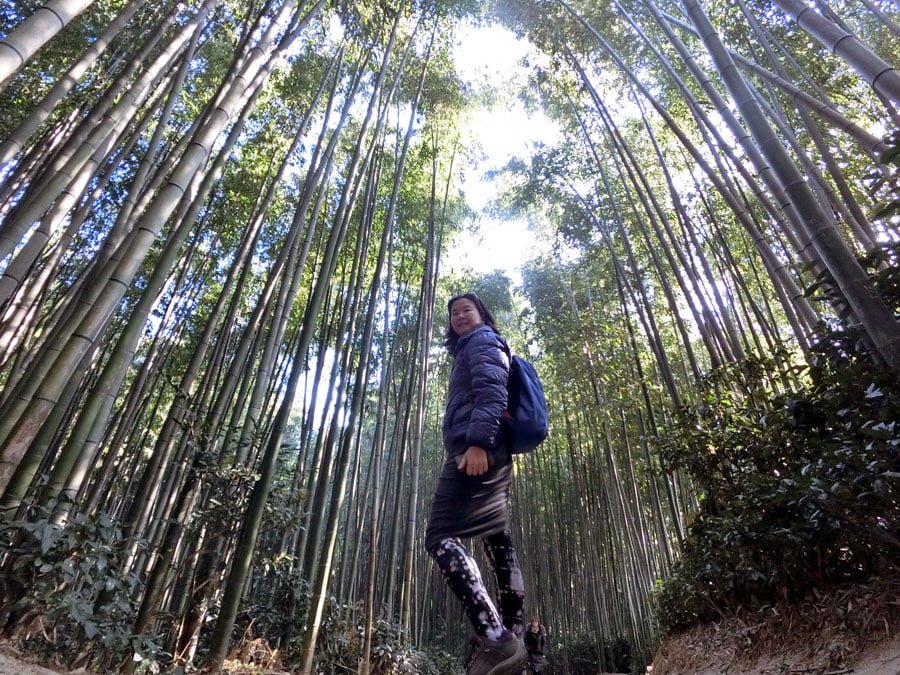 Damyang Bamboo Forest Selfie