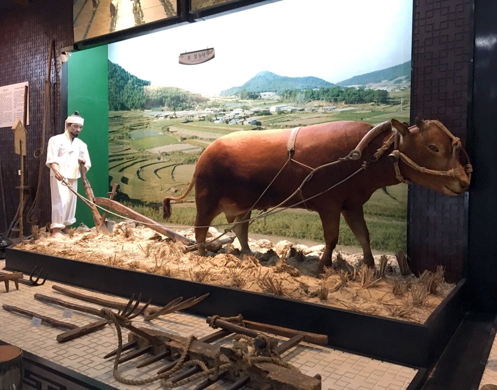Gwangju Folk Museum Farming